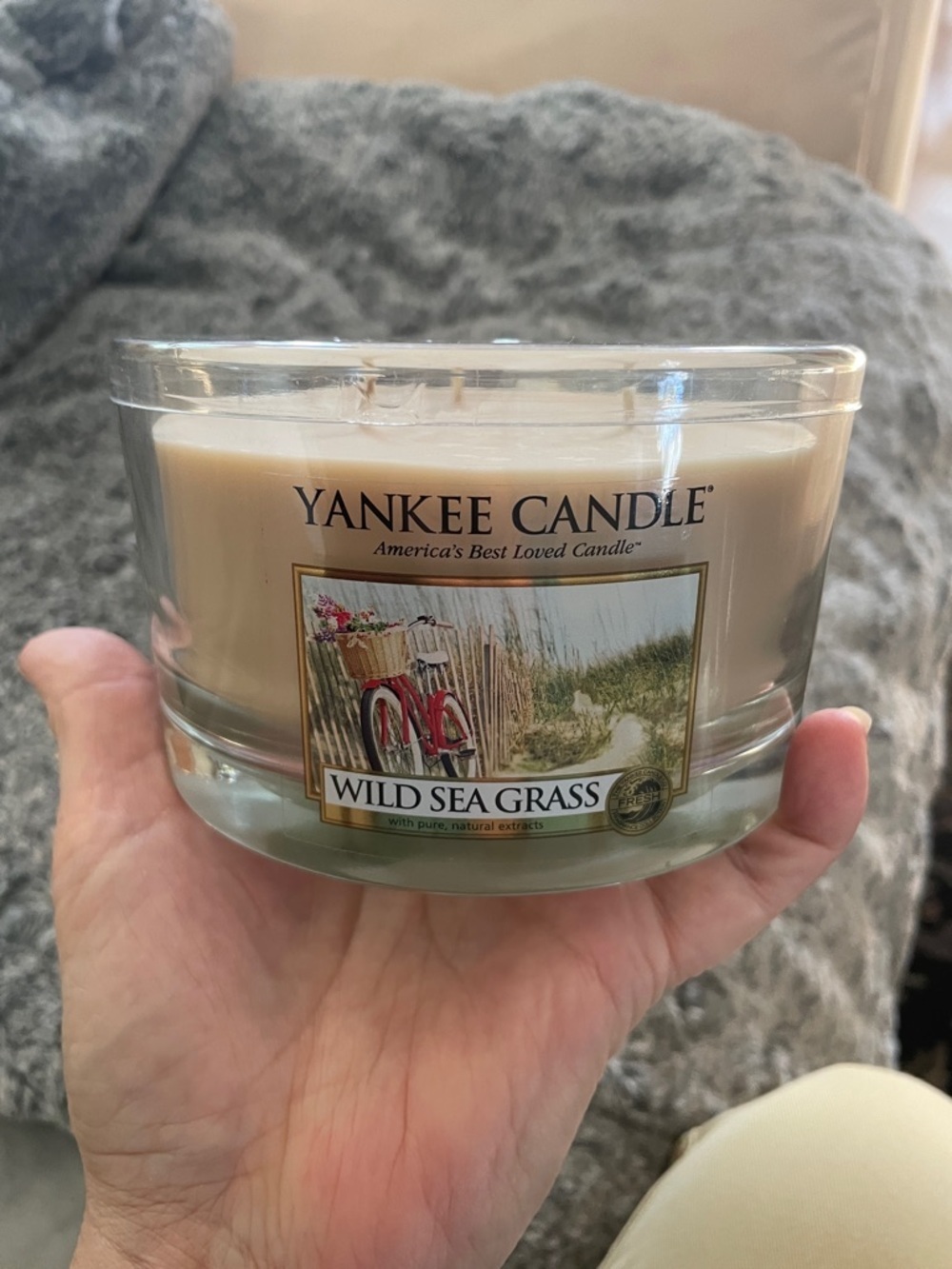 Yankee Candle Wild Sea Grass Jar Candle - Cream and Green Label